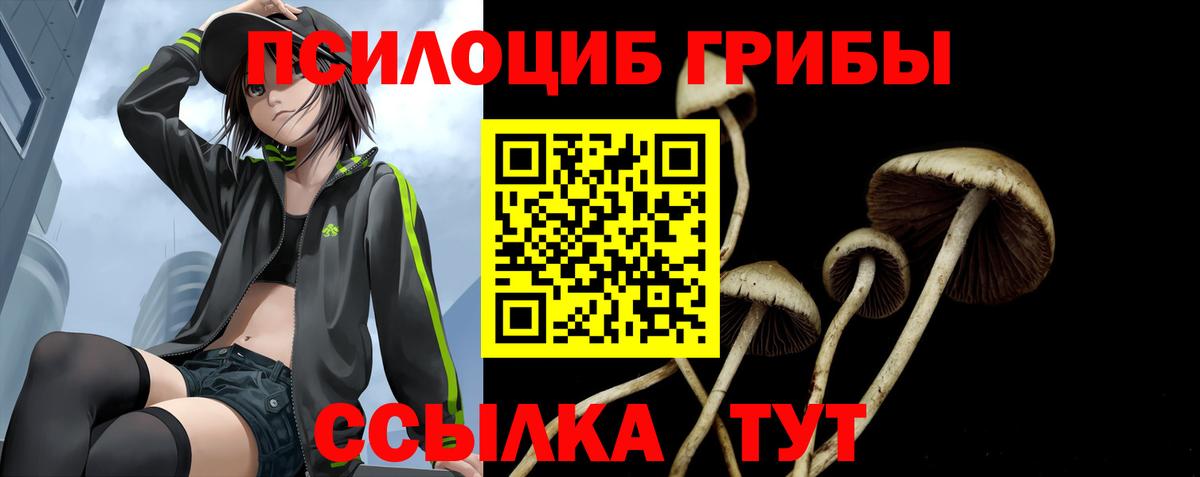 где продают наркотики  Псилоцибиновые грибы Magic Shrooms  Вход с VPN  Самара 